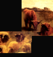 Ranching was a new industry in the 1800's